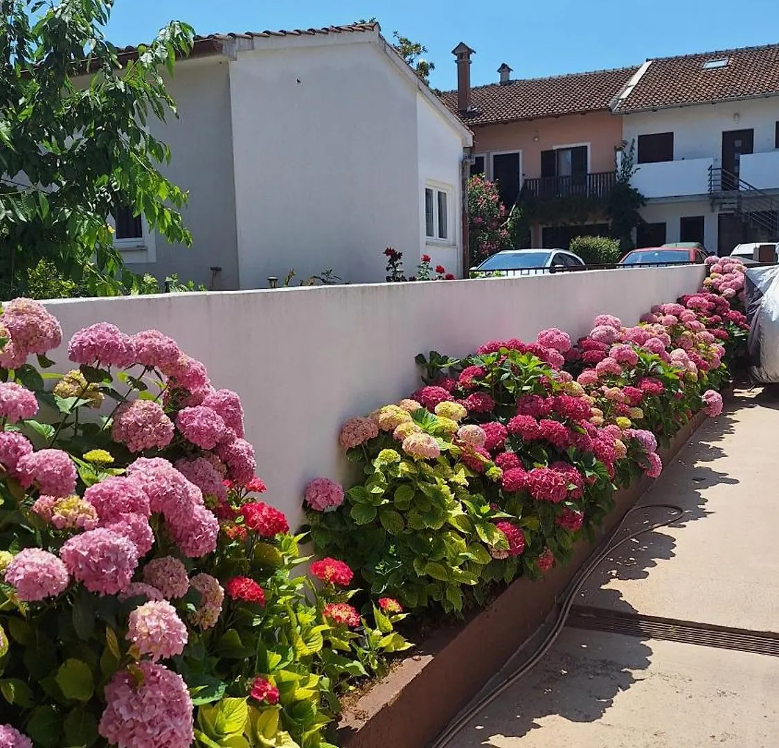 Guest House Mafi Rovinj